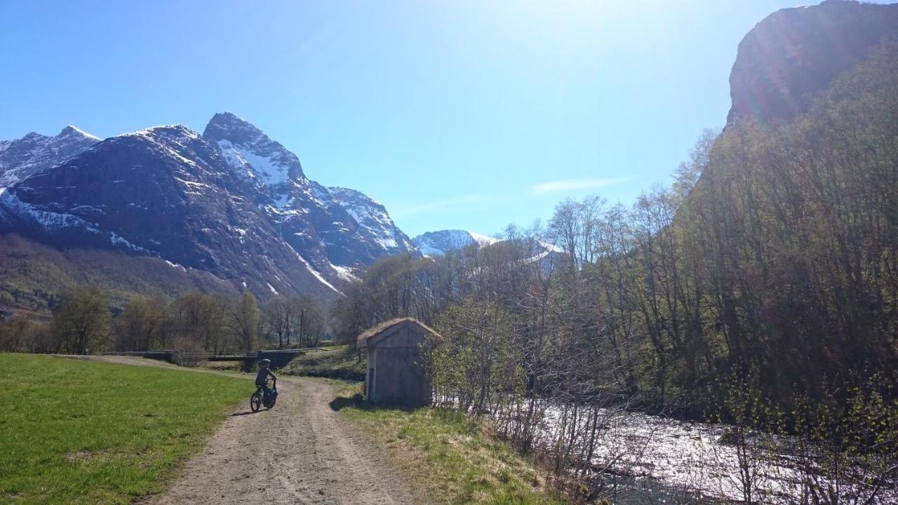Lensmansgarden Fjosen Appartement Innfjorden Buitenkant foto